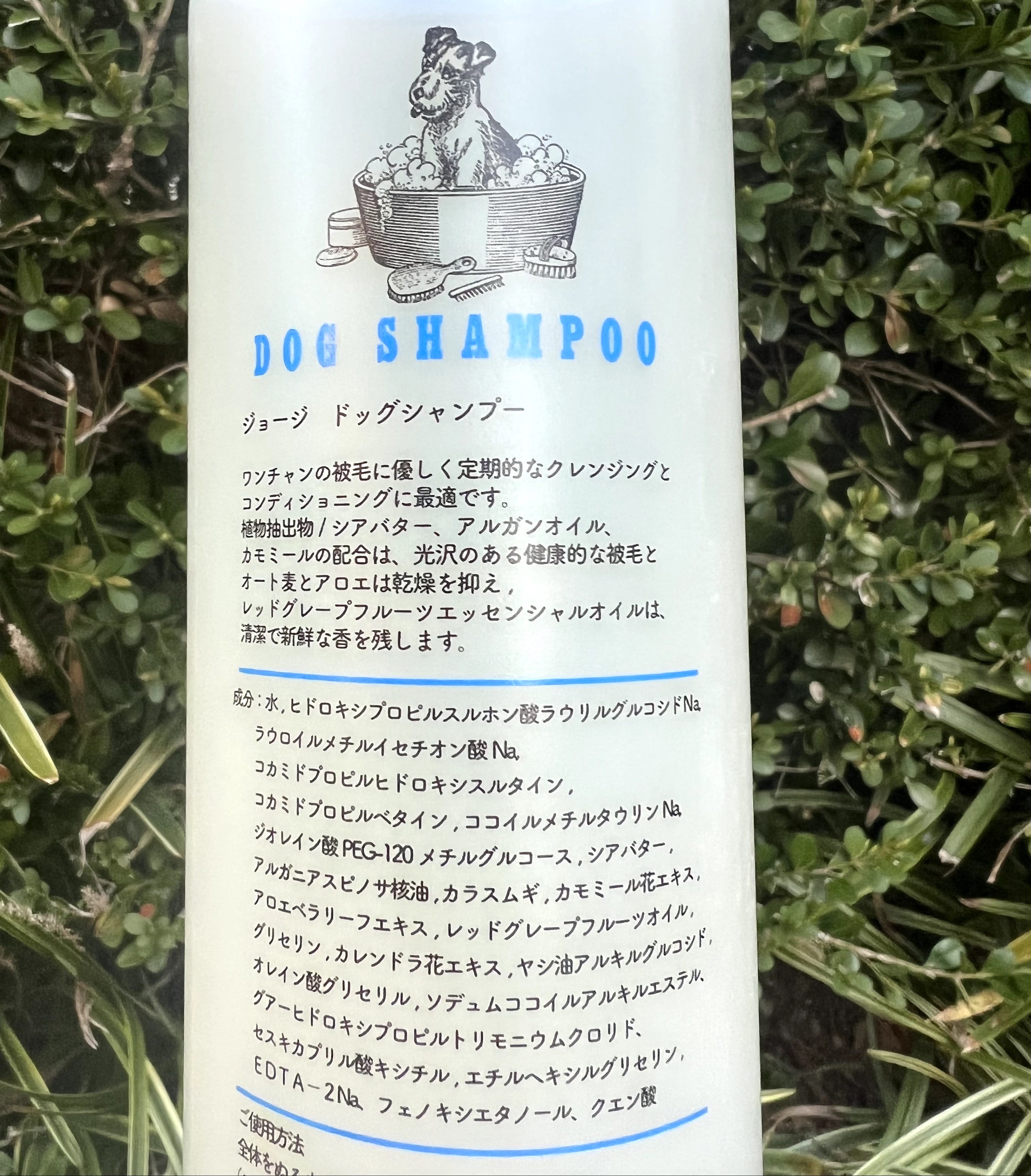 SALE/84%OFF】 パロート O2センサー オキシジェンセンサー ハーネス無 マックス L952S EXマニホールド用 JBDET 660cc 01.11〜05.11 nrsports.com.br